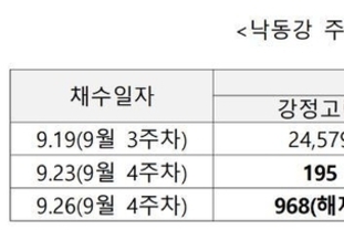 '먹는 물 안전; 한 숨 돌렸다…녹조 전반적 감소세